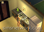 The Sims 2