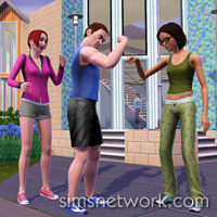 The Sims 3