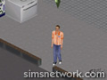 The Sims Livin' Large