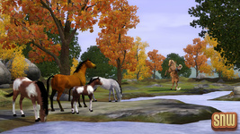 The Sims 3 Pet</body></html>