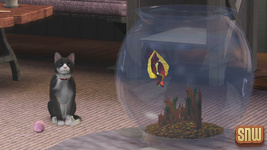 The Sims 3 Pets