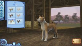 The Sims 3 Pets