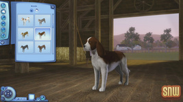 The Sims 3 Pets