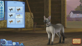 The Sims 3 Pets