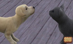 The Sims 3 Pets: BaBa the dog and Oopsie-Daisy the cat