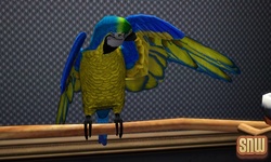 The Sims 3 Pets: Birds