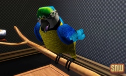 The Sims 3 Pets: Birds