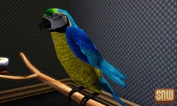 The Sims 3 Pets: Birds