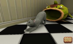 The Sims 3 Pets: Oopsie-Daisy the cat