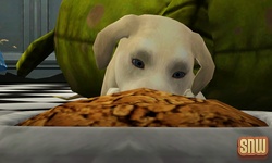 The Sims 3 Pets: BaBa the dog