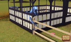 The Sims 3 Pets: Estela Marshall the ghost horse