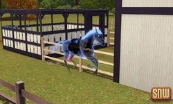 The Sims 3 Pets: Estela Marshall the ghost horse