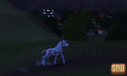 The Sims 3 Pets: GooGoo the horse