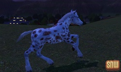 The Sims 3 Pets: GooGoo the horse