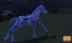 The Sims 3 Pets: GooGoo the horse