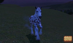 The Sims 3 Pets: GooGoo the horse