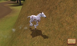 The Sims 3 Pets: GooGoo the horse