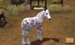 The Sims 3 Pets: GooGoo the horse