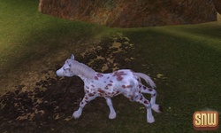 The Sims 3 Pets: GooGoo the horse