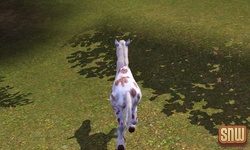 The Sims 3 Pets: GooGoo the horse