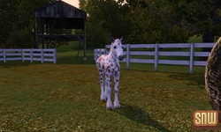 The Sims 3 Pets: GooGoo the horse