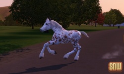 The Sims 3 Pets: GooGoo the horse