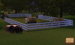 The Sims 3 Pets: Appaloosa Plains