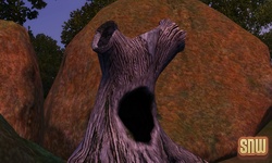 The Sims 3 Pets: Appaloosa Plains