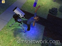 The Sims 2