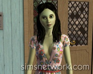 The Sims 3 Hidden Springs